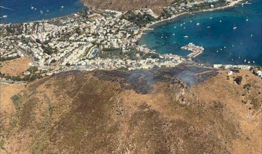 Bodrum ilçesinde meydana gelen yangın, Akyarlar Mahallesi’nde bu öğleden sonra