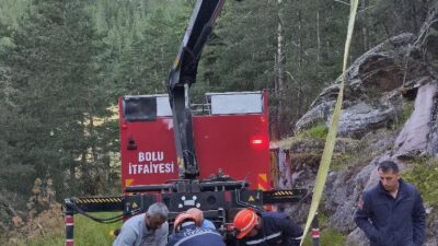 Bolu’da, gece saatlerinde 50 metrelik bir uçuruma yuvarlanan inek, itfaiye