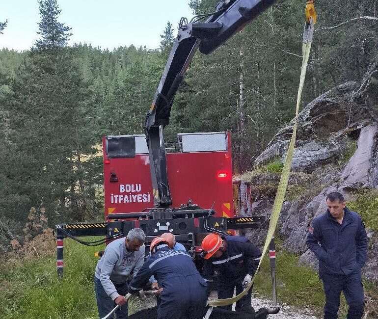 Bolu’da, gece saatlerinde 50 metrelik bir uçuruma yuvarlanan inek, itfaiye