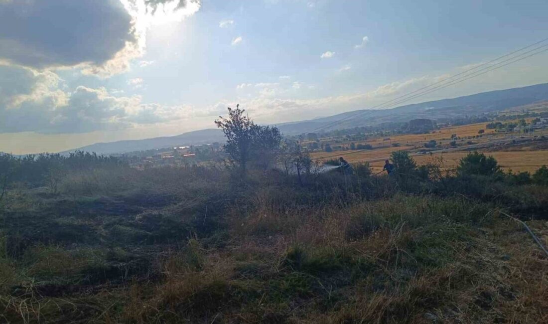 Bolu ilinde meydana gelen anız yangını, itfaiye ekiplerinin hızlı müdahalesi