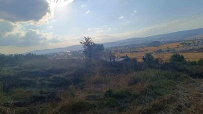 Bolu ilinde meydana gelen anız yangını, itfaiye ekiplerinin hızlı müdahalesi