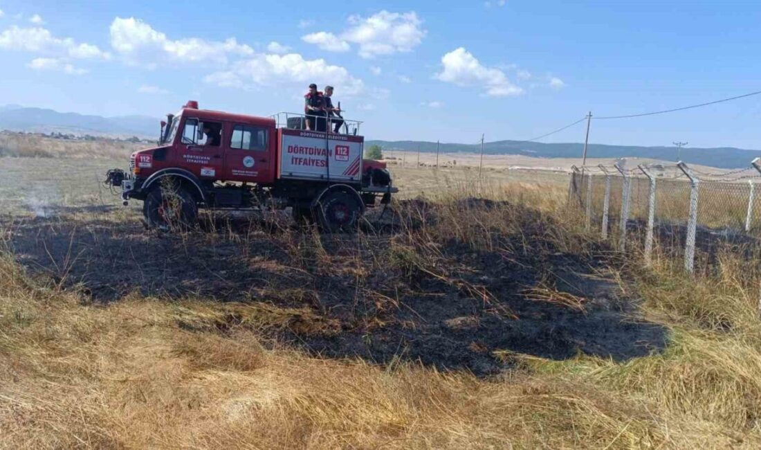 Bolu’nun Dörtdivan ilçesinde, Hacetler Mahallesi yol kenarında meydana gelen anız