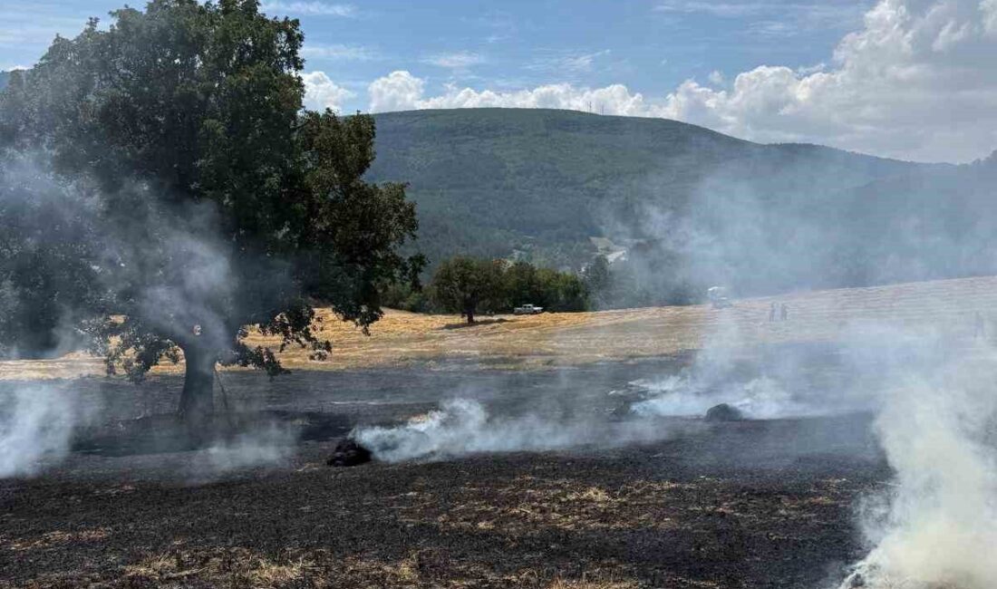 Bolu’nun Güneyfelakattin köyü Değirmenyanı Mahallesi’nde meydana gelen yangın, balya yapımı