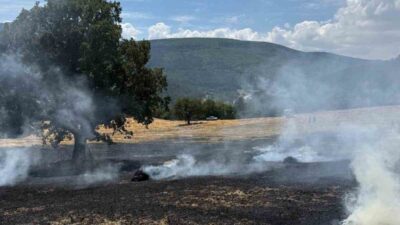 Bolu’nun Güneyfelakattin köyü Değirmenyanı Mahallesi’nde meydana gelen yangın, balya yapımı