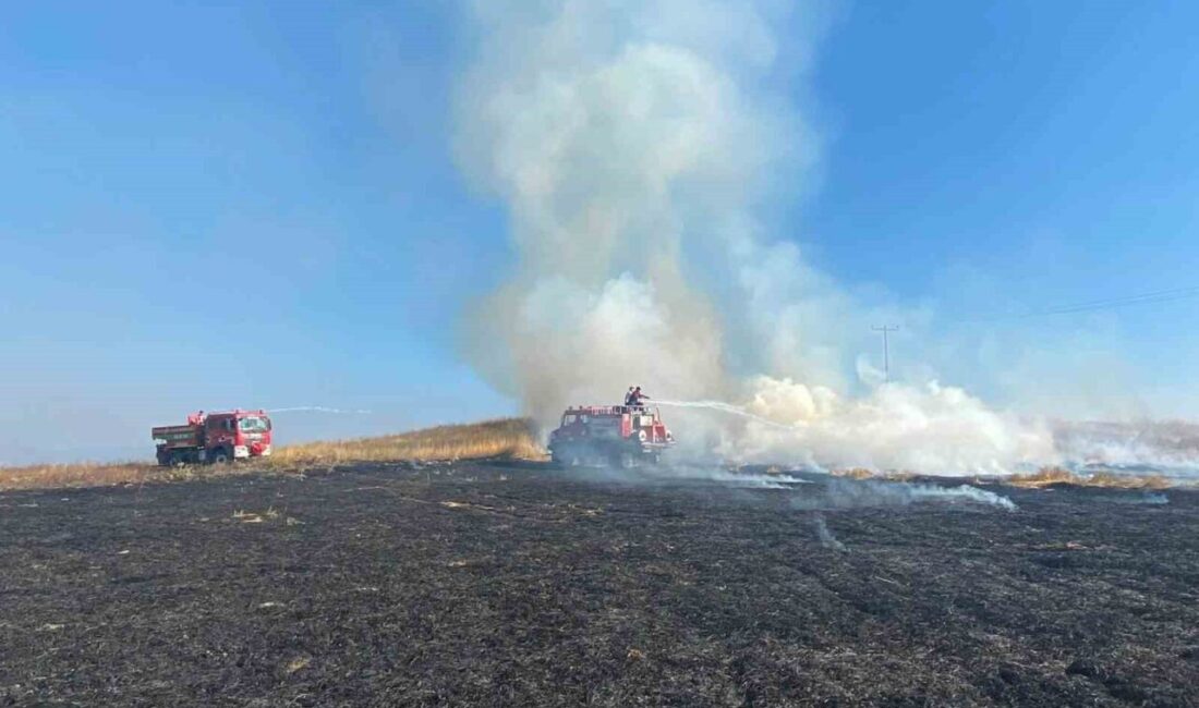 Bolu’nun Dörtdivan ilçesinde, Çavuşlar Mahallesi Belen mevkiinde meydana gelen ot