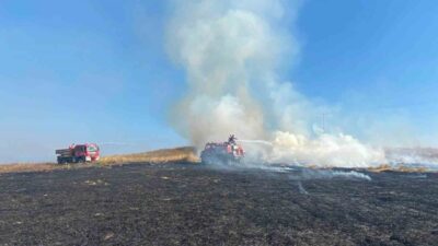 Bolu’nun Dörtdivan ilçesinde, Çavuşlar Mahallesi Belen mevkiinde meydana gelen ot