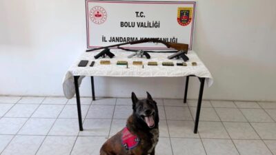 Bolu’da, suç ve suçlularla mücadele faaliyetleri kapsamında yapılan bir operasyonda,