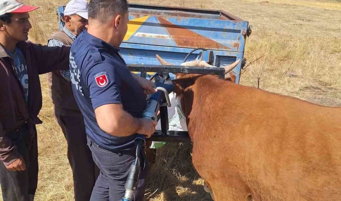 Bolu’nun Gerede ilçesinde yaşanan olayda, tarım aletine sıkışan büyükbaş hayvan,
