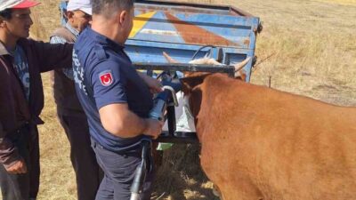 Bolu’nun Gerede ilçesinde yaşanan olayda, tarım aletine sıkışan büyükbaş hayvan,