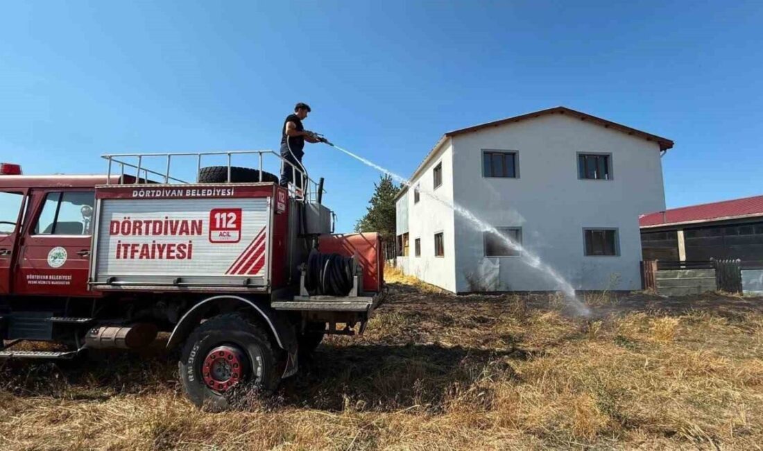 Bolu’nun Dörtdivan ilçesinde bir kereste fabrikasının arkasındaki arazide çıkan yangın,