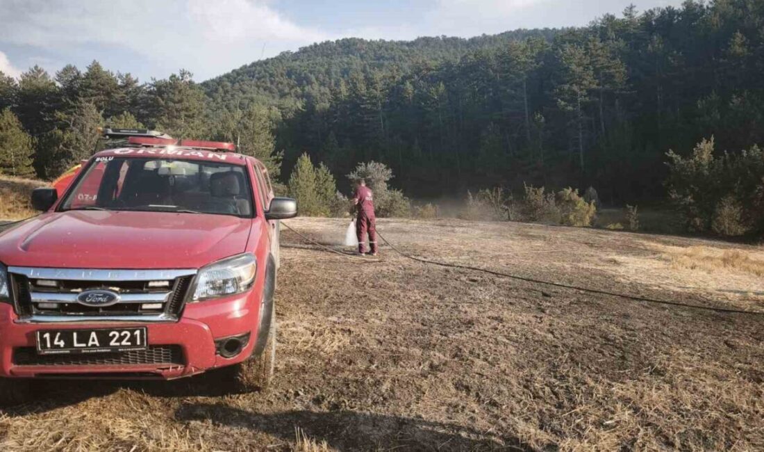 Mudurnu ilçesine bağlı Gürçam Köyü’nde, bir tarlada çıkan anız yangını,
