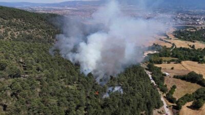 Bolu’nun Kızılağıl köyü yakınlarındaki ormanlık alanda yangın çıktı ve bölgeye