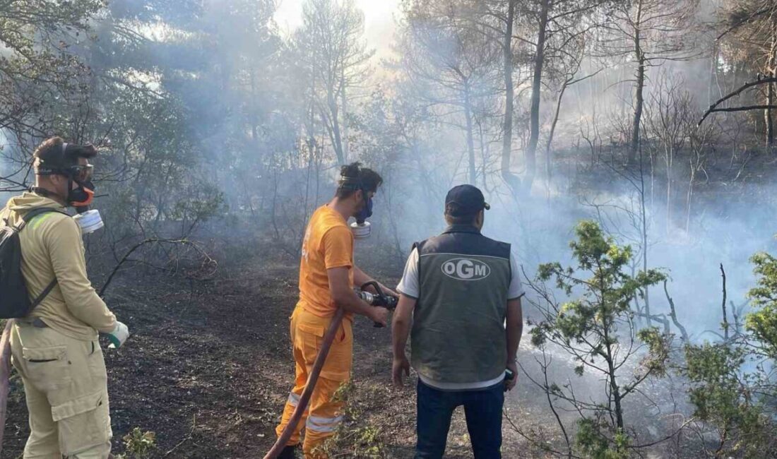 Bolu’nun Göynük ilçesindeki ormanlık alanda çıkan yangın, ekiplerin hızlı müdahalesi