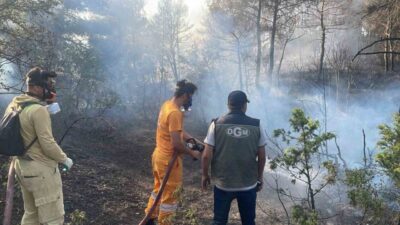 Bolu’nun Göynük ilçesindeki ormanlık alanda çıkan yangın, ekiplerin hızlı müdahalesi