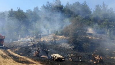 Bolu’nun Göynük ilçesindeki bir otluk alanda ortaya çıkan yangın, hızlıca