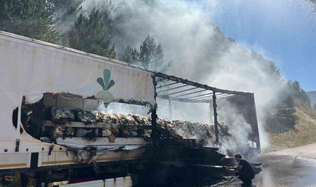 Bolu’da seyir halindeki şeker yüklü bir tırın dorsesinde çıkan yangın,
