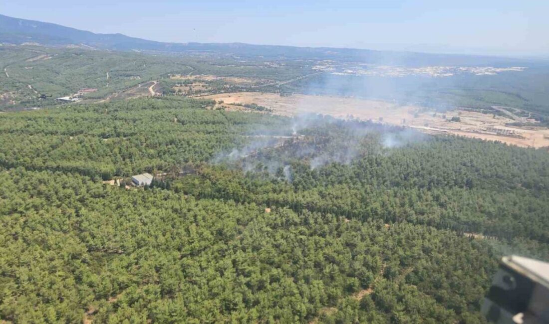 İzmir’in Buca ilçesinde çıkan orman yangını, hava ve karadan yapılan