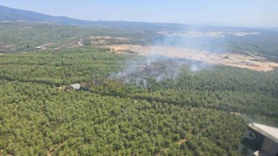 İzmir’in Buca ilçesinde çıkan orman yangını, hava ve karadan yapılan