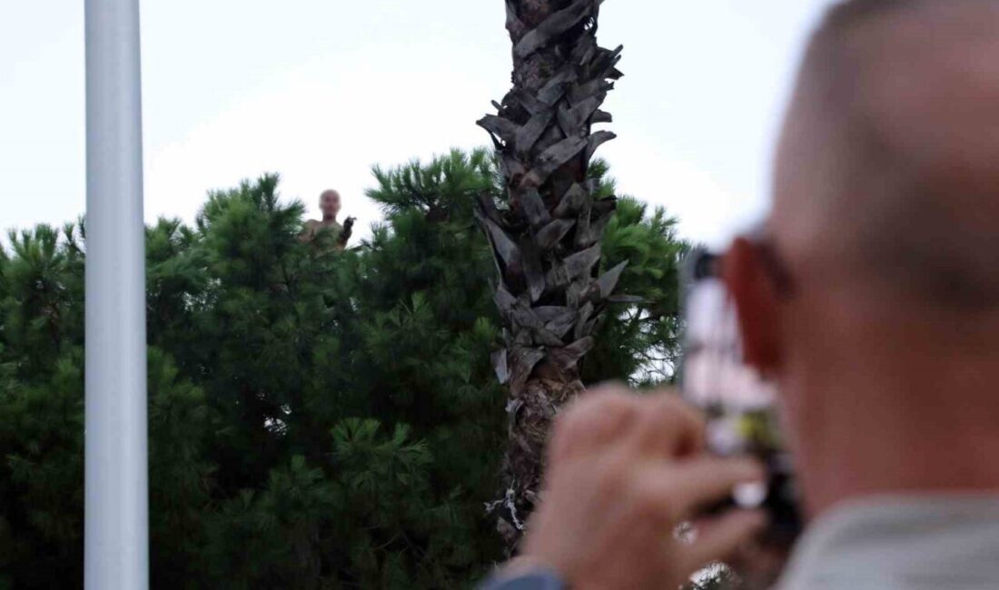 Antalya’da bir kişi, bunalım geçirerek 10 metrelik bir çam ağacının