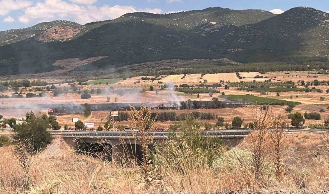 Burdur’un Gölhisar ilçesinde 20 dönümlük otluk alanda çıkan yangına müdahale