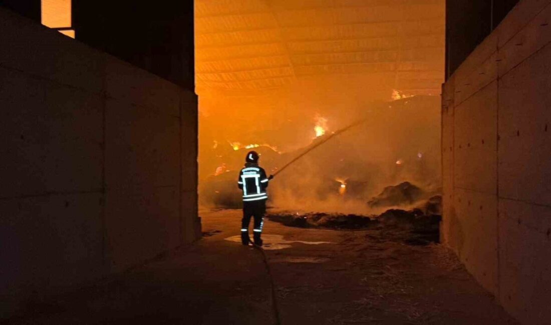 Burdur’da, Kapaklı köyü yakınlarındaki bir çiftlikte meydana gelen yangın, ekiplerin