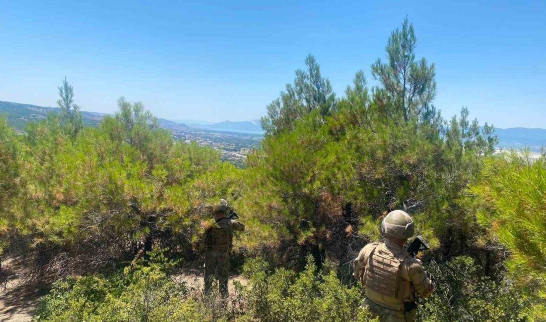 Burdur İl Jandarma Komutanlığı ekipleri, il genelinde orman yangınlarına karşı
