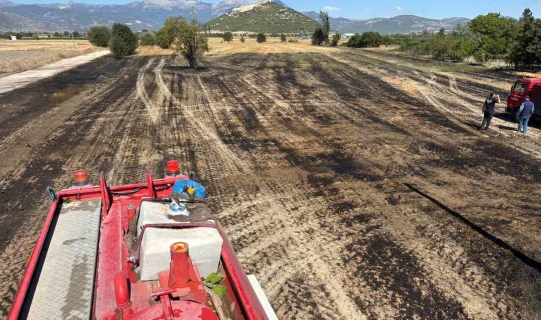 Burdur’un Bucak ilçesinde, yaklaşık 7 dönümlük tarım arazisinde çıkan anız