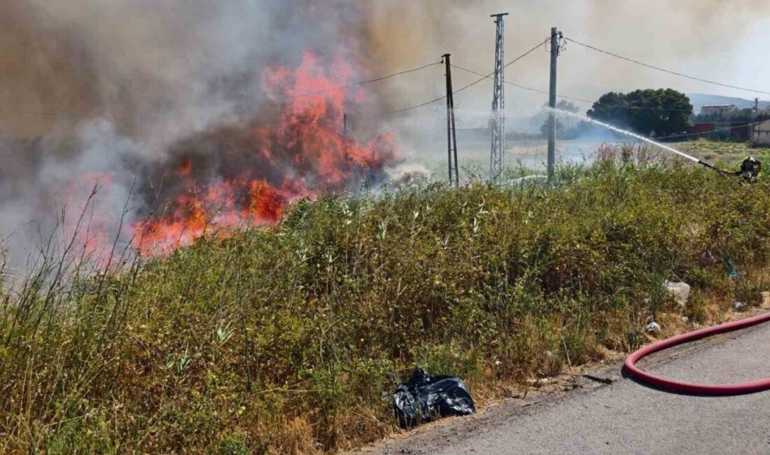 Balıkesir ilinin Burhaniye ilçesinde, Çanakkale-İzmir Karayolu boyunca meydana gelen ot