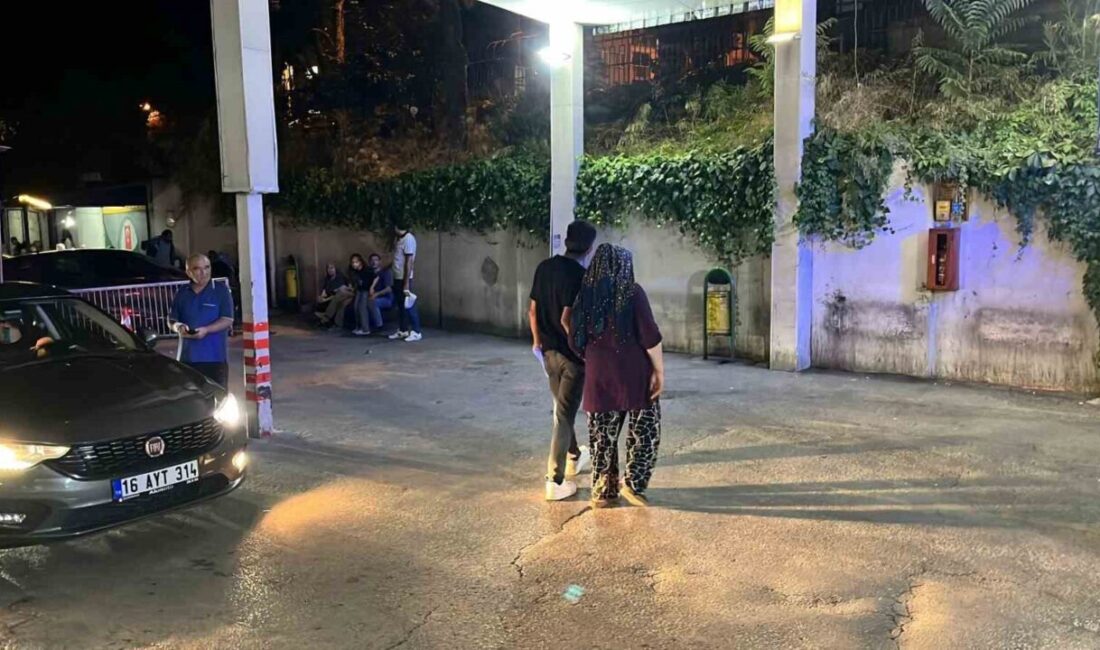 Bursa İl Sağlık Müdürlüğü, Orhaneli ilçesinde gerçekleşen bir etkinlikte servis