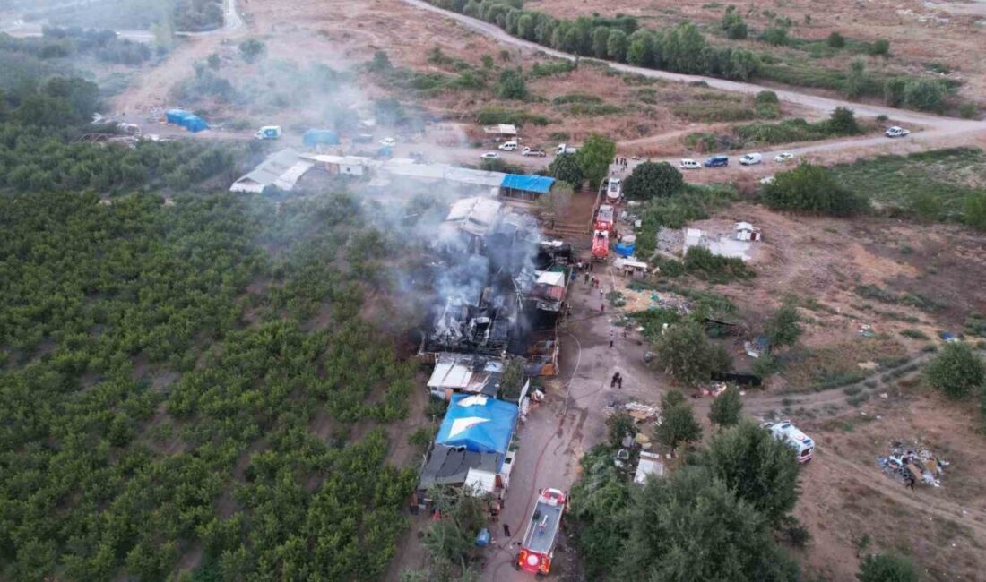 Bursa’da bulunan bir çiftlikte meydana gelen yangın, itfaiye ekiplerinin yaklaşık