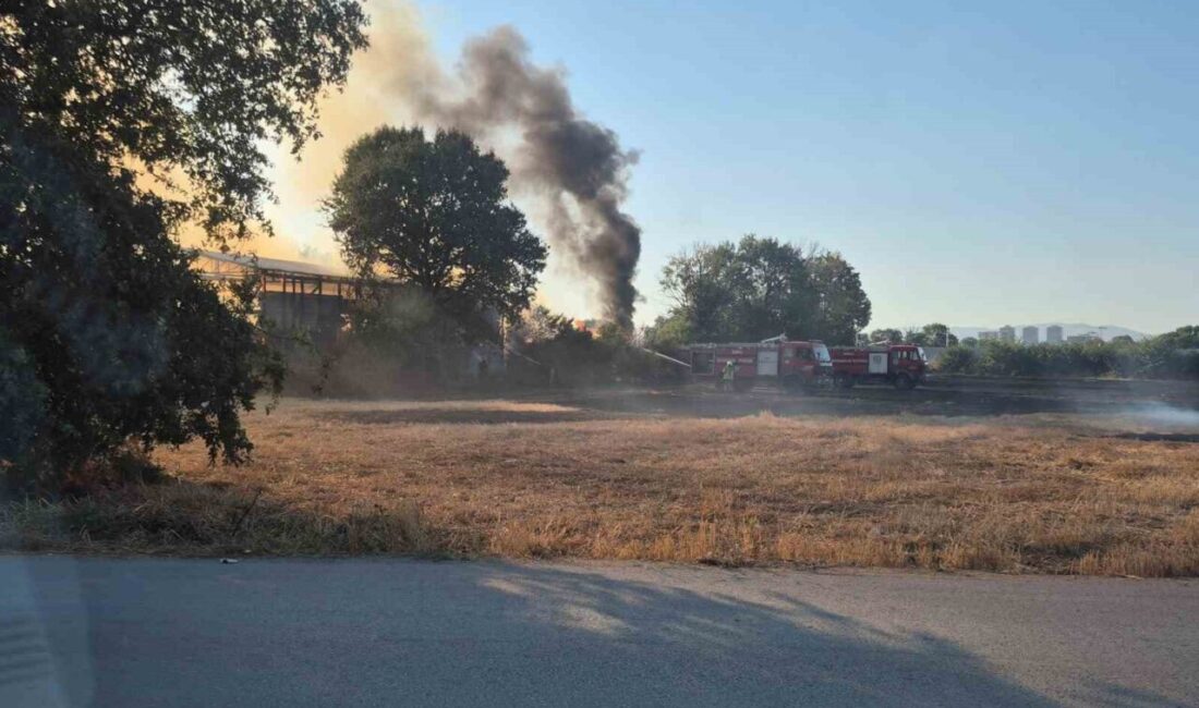 Bursa’da bir depo ile tarım arazilerinde meydana gelen yangın, itfaiye