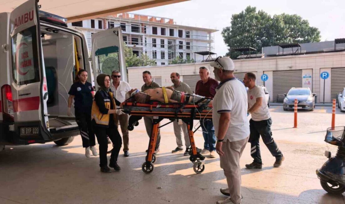 Bursa’nın İnegöl ilçesinde bir ormanlık alanda meydana gelen olayda, kontrolden