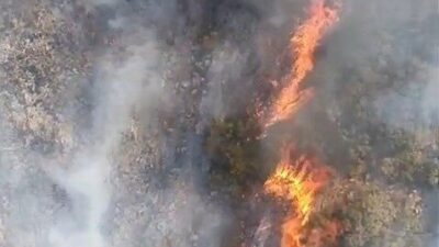 Nilüfer ilçesindeki tarım alanındaki yangın Hasanağa Mahallesi’nde başladı ve kısa