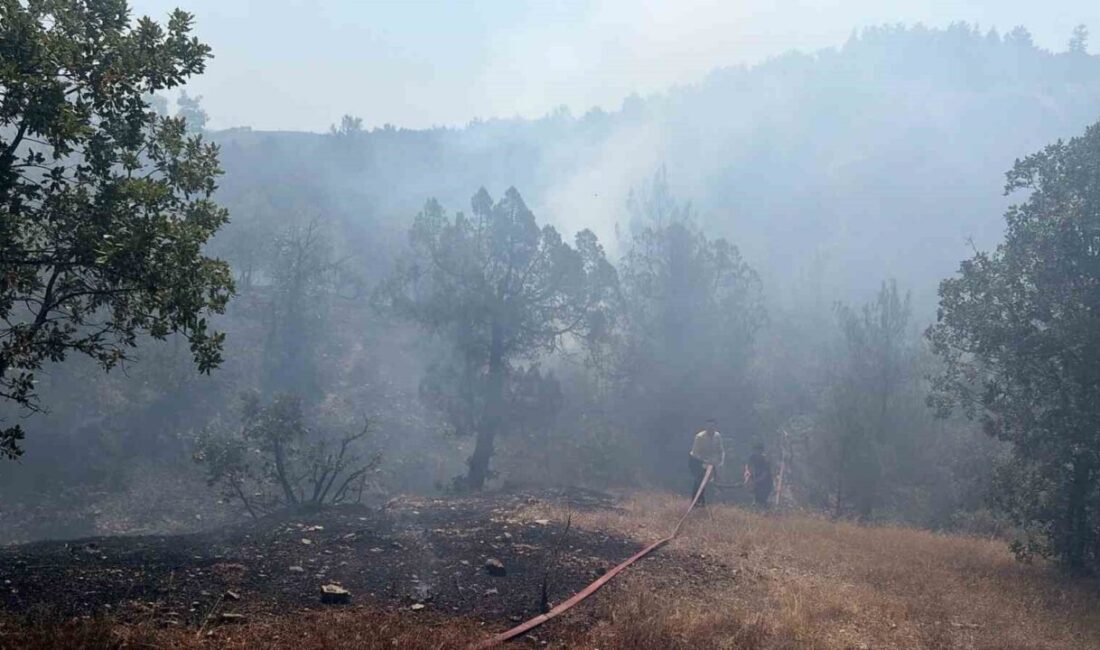 Bursa’nın Büyükorhan ilçesinde çıkan orman yangını, kontrol altına alındı. Yangın,
