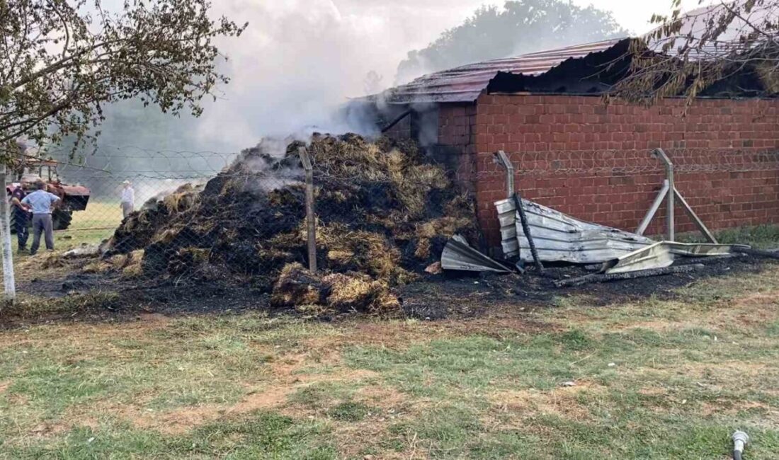 Bursa’nın İnegöl ilçesinde bir samanlıkta meydana gelen yangın, itfaiye ekiplerinin