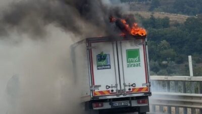 Bursa’nın İznik ilçesinde seyir halindeki bir kamyonet, aniden alev aldı.