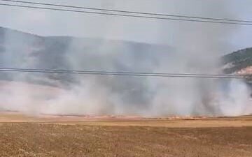 Bursa’nın İnegöl ilçesinde, tarım arazisini ateşe veren 16 yaşındaki şahıs,