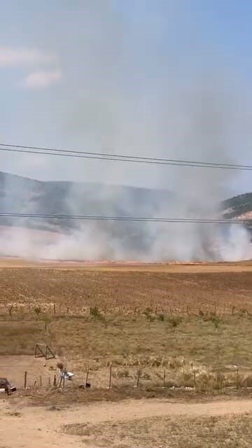 Bursa’nın İnegöl ilçesinde, tarım arazisini ateşe veren 16 yaşındaki şahıs,