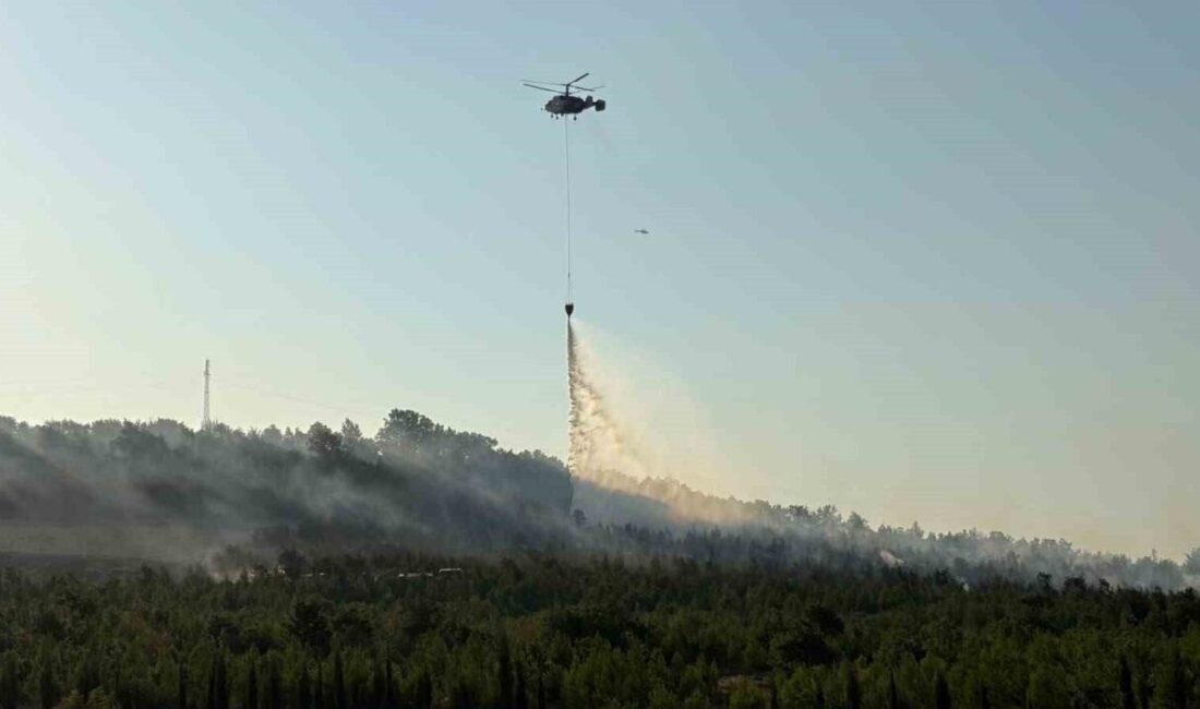 Çanakkale’nin Bayramiç ilçesinde ormanlık alanda çıkan yangına müdahale devam ediyor.