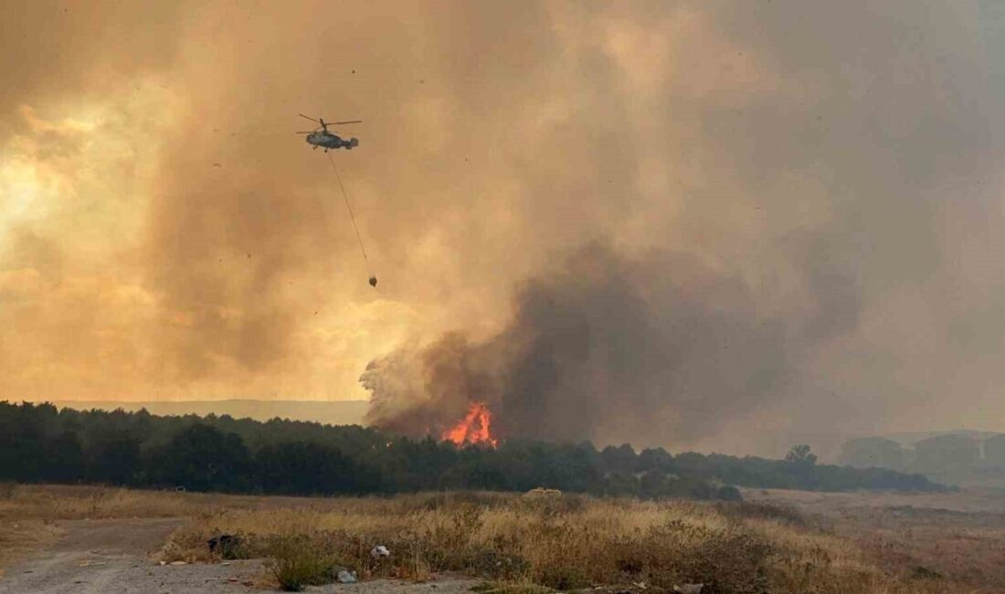 Çanakkale’de, beklenen olumsuz hava koşulları nedeniyle yangın riskini en aza