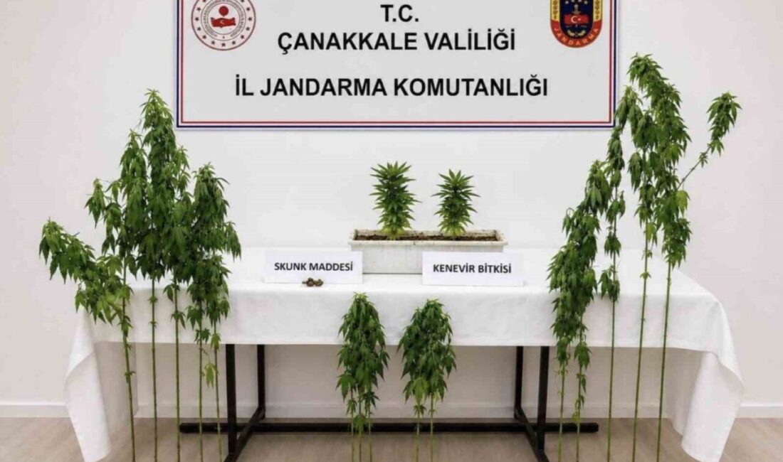 Çanakkale’nin Merkez, Biga ve Ezine ilçelerinde gerçekleştirilen operasyonda birçok uyuşturucu