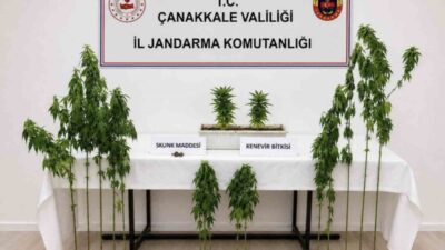 Çanakkale’nin Merkez, Biga ve Ezine ilçelerinde gerçekleştirilen operasyonda birçok uyuşturucu
