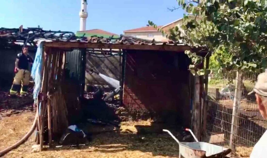 Çanakkale’nin Çan ilçesinde bir ahırda çıkan yangın, ekiplerin hızlı müdahalesi