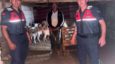 Çanakkale’nin Bayramiç ilçesinde kaybolan 15 küçükbaş hayvan, Jandarma ekipleri tarafından