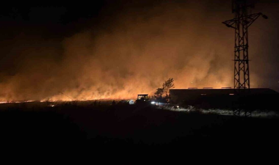 Çanakkale’de, Büyükpaşa köyü yakınlarındaki otluk alanda çıkan yangın, ekiplerin zamanında
