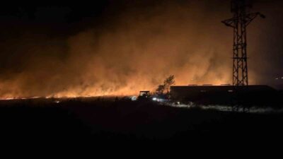 Çanakkale’de, Büyükpaşa köyü yakınlarındaki otluk alanda çıkan yangın, ekiplerin zamanında