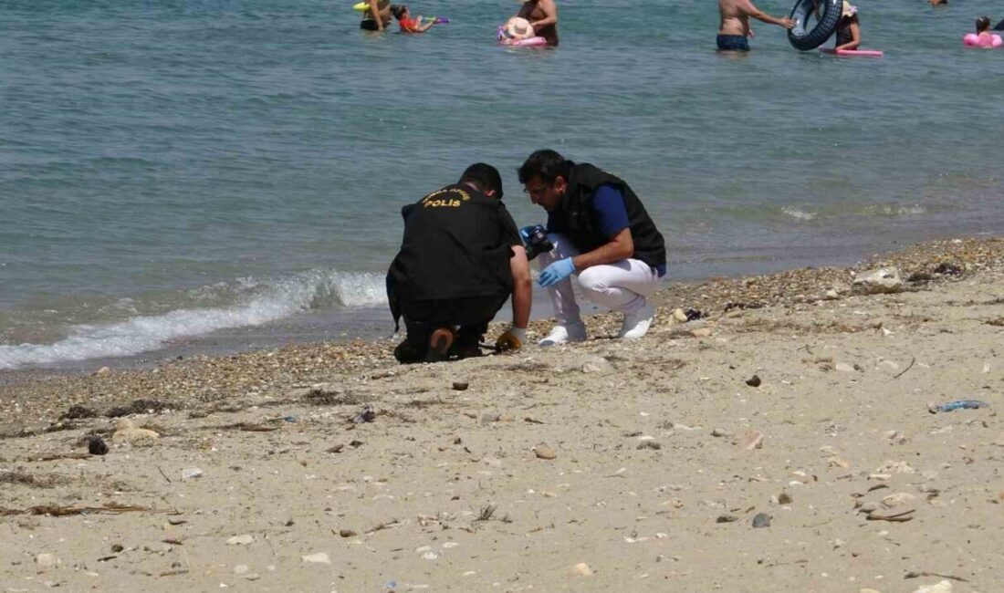 Çanakkale’nin merkezine bağlı Kepez beldesinde yer alan halk plajında savaş