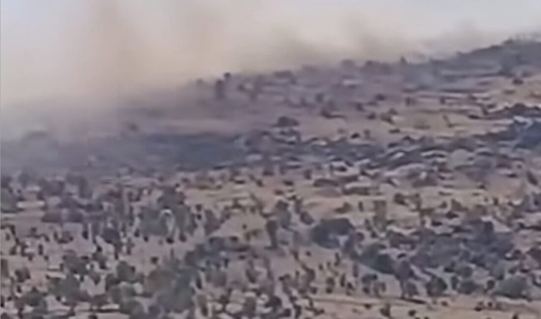 Çankırı’nın Korgun ilçesinde bir arazi yangını meydana geldi. Yangın, kısa