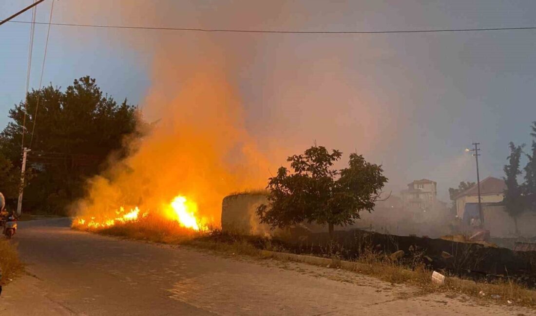 Denizli’nin Çardak ilçesinde yerleşim alanlarına yakın bir boş arazide çıkan