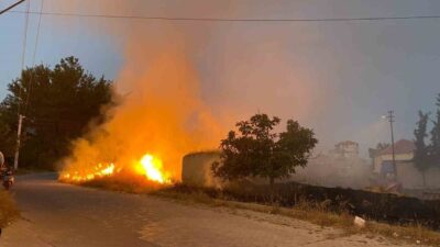 Denizli’nin Çardak ilçesinde yerleşim alanlarına yakın bir boş arazide çıkan